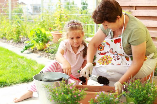 Eco-friendly carpet cleaning solutions