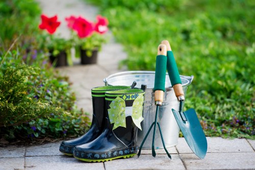Benefits of clean carpets for health
