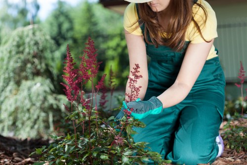 Benefits of using carpet shampoo for deep cleaning